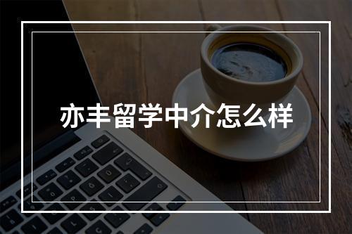 亦丰留学中介怎么样