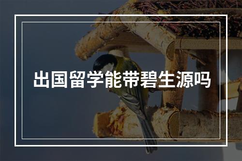 出国留学能带碧生源吗