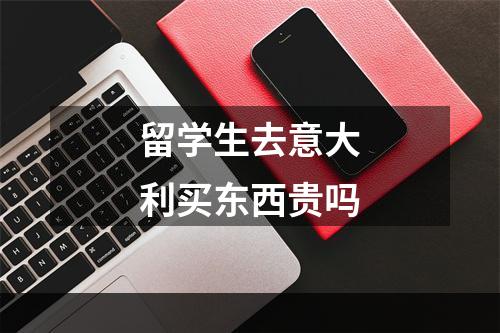 留学生去意大利买东西贵吗