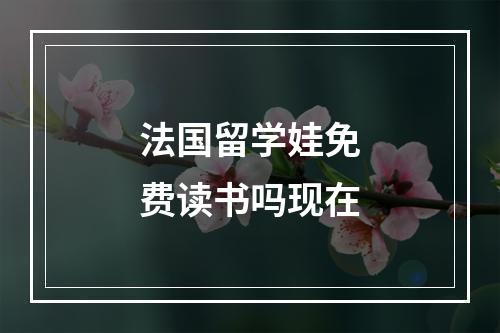 法国留学娃免费读书吗现在