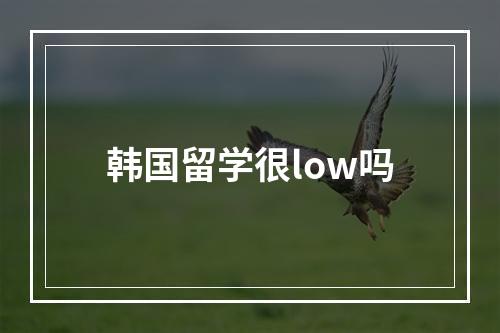 韩国留学很low吗