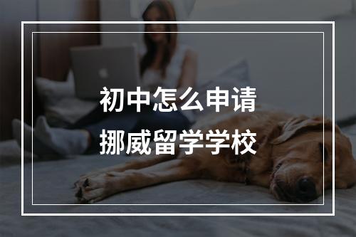 初中怎么申请挪威留学学校