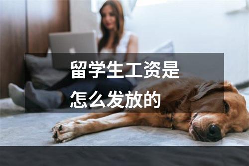 留学生工资是怎么发放的