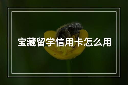 宝藏留学信用卡怎么用