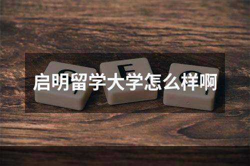 启明留学大学怎么样啊