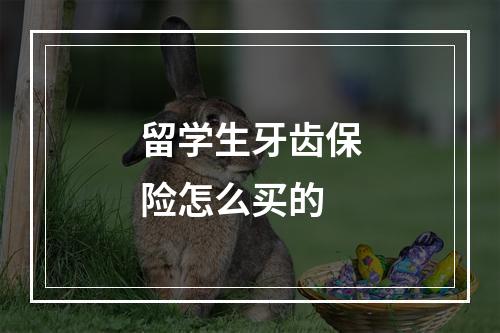 留学生牙齿保险怎么买的