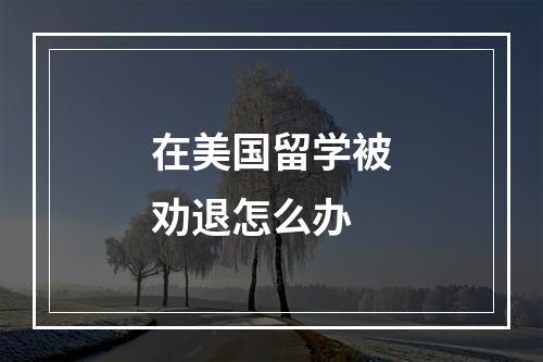 在美国留学被劝退怎么办