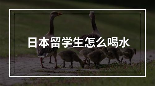 日本留学生怎么喝水