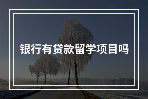 银行有贷款留学项目吗