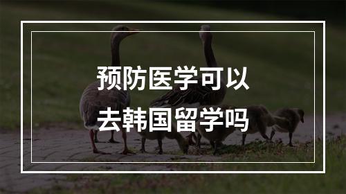 预防医学可以去韩国留学吗