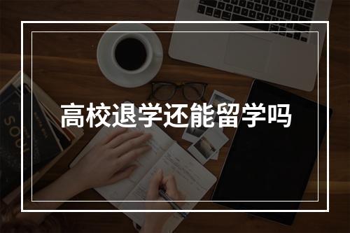 高校退学还能留学吗