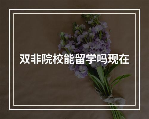 双非院校能留学吗现在