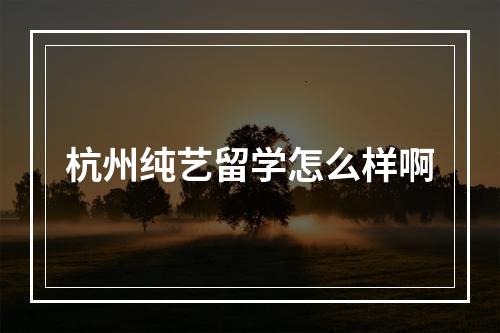 杭州纯艺留学怎么样啊