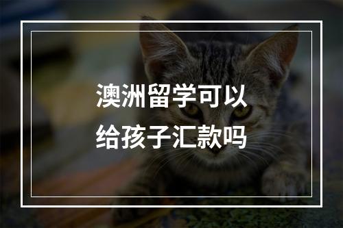 澳洲留学可以给孩子汇款吗