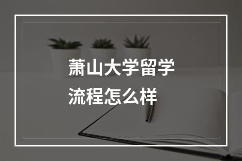 萧山大学留学流程怎么样