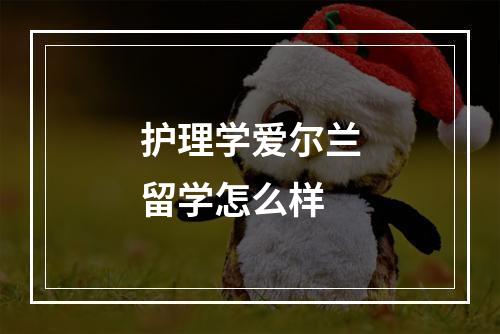 护理学爱尔兰留学怎么样