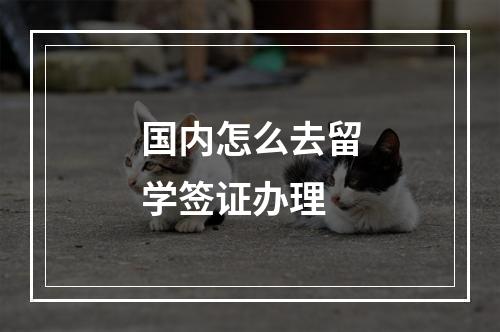 国内怎么去留学签证办理