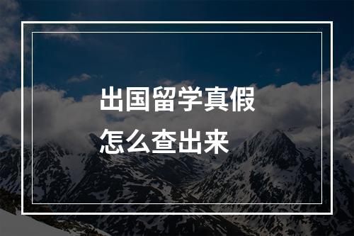 出国留学真假怎么查出来