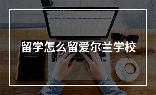 留学怎么留爱尔兰学校