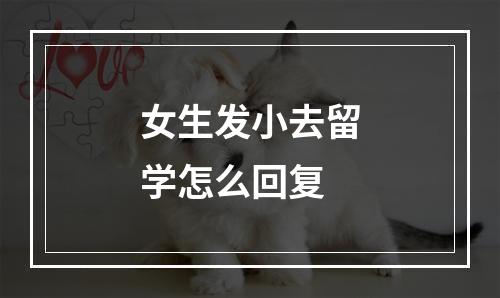 女生发小去留学怎么回复