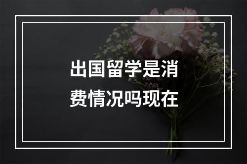 出国留学是消费情况吗现在