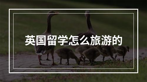 英国留学怎么旅游的