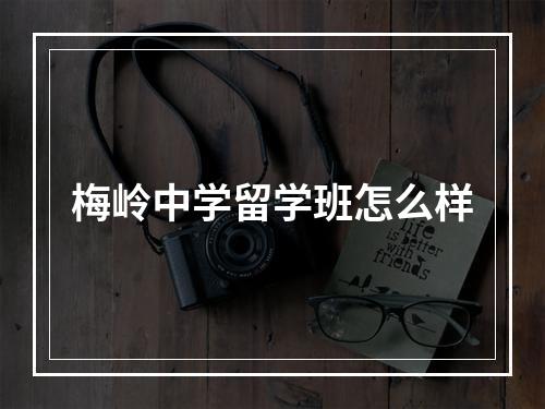 梅岭中学留学班怎么样