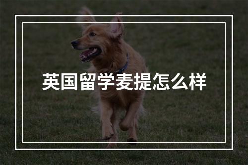 英国留学麦提怎么样