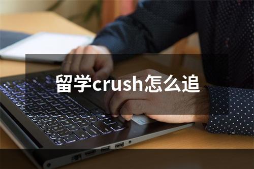 留学crush怎么追