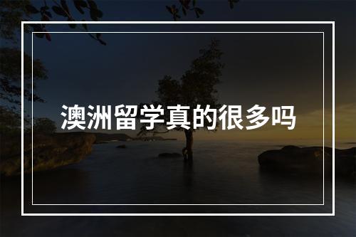 澳洲留学真的很多吗