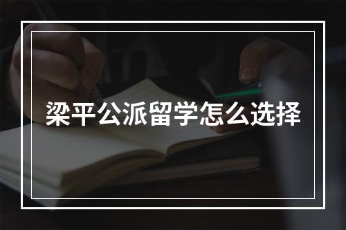 梁平公派留学怎么选择