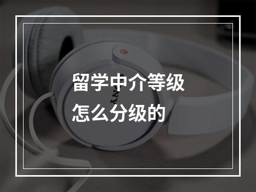 留学中介等级怎么分级的