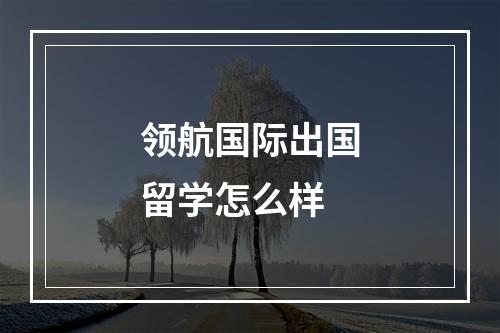 领航国际出国留学怎么样