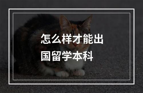 怎么样才能出国留学本科