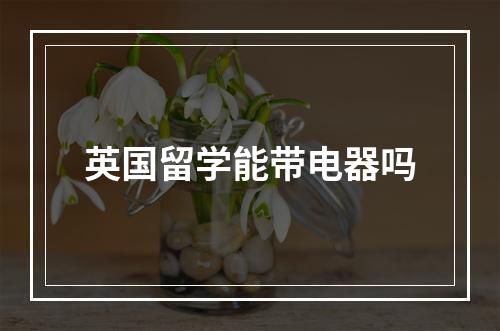 英国留学能带电器吗