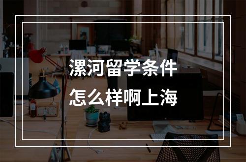 漯河留学条件怎么样啊上海