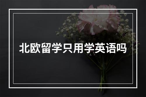 北欧留学只用学英语吗