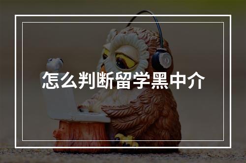 怎么判断留学黑中介