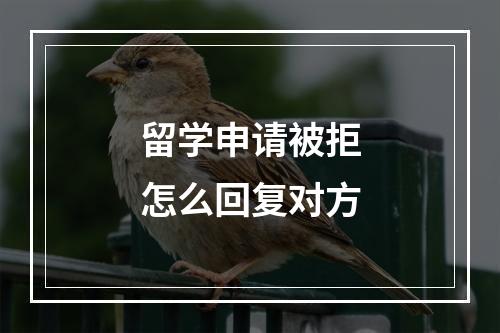 留学申请被拒怎么回复对方