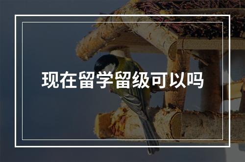 现在留学留级可以吗