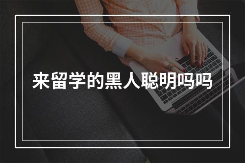 来留学的黑人聪明吗吗