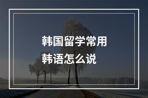 韩国留学常用韩语怎么说