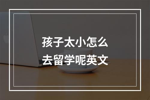 孩子太小怎么去留学呢英文