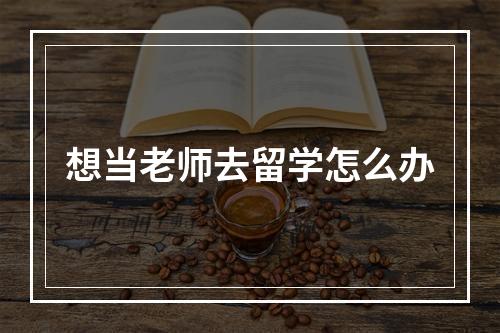 想当老师去留学怎么办