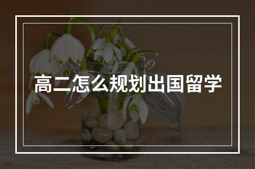 高二怎么规划出国留学