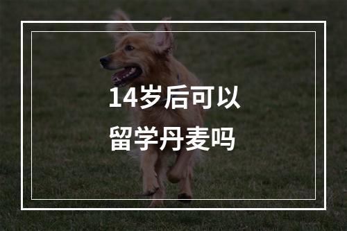 14岁后可以留学丹麦吗