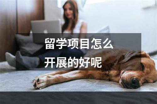 留学项目怎么开展的好呢