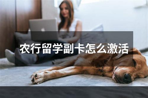 农行留学副卡怎么激活