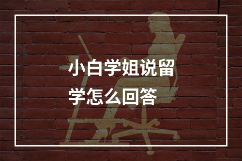 小白学姐说留学怎么回答