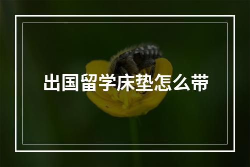 出国留学床垫怎么带